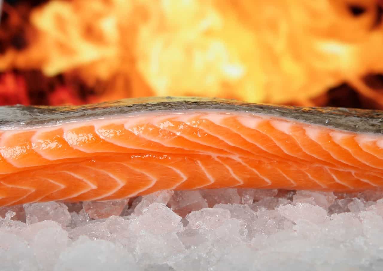 salmon on ice with fire