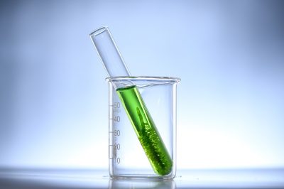 algae in test tube